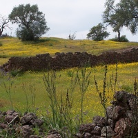 Photo de Espagne - Séville